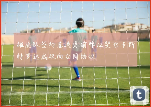 雄鹿队签约落选秀前锋拉斐尔卡斯特罗达成双向合同协议