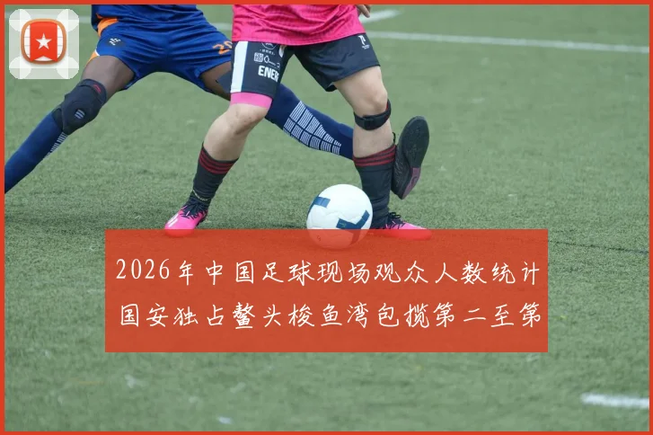 2026年中国足球现场观众人数统计国安独占鳌头梭鱼湾包揽第二至第七位