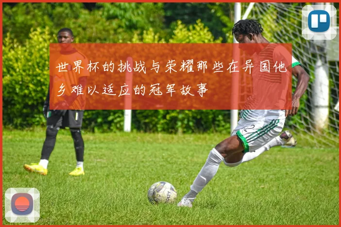 世界杯的挑战与荣耀那些在异国他乡难以适应的冠军故事
